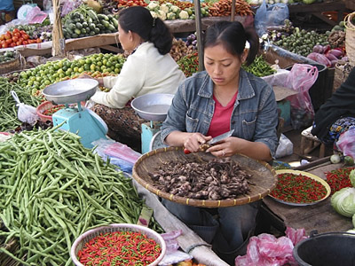 达拉市场