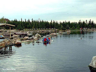 拉根公园 laken park