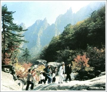 金刚山