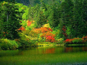 草药香料园