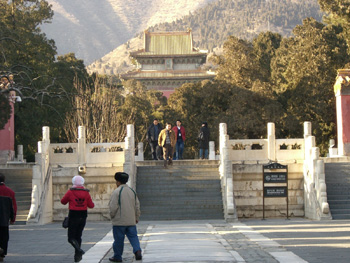 白杨宫