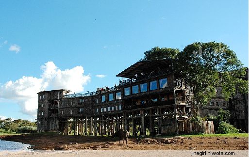 肯尼亚美术采风行程