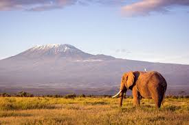 10 Days Kenya Wildlife Safaris